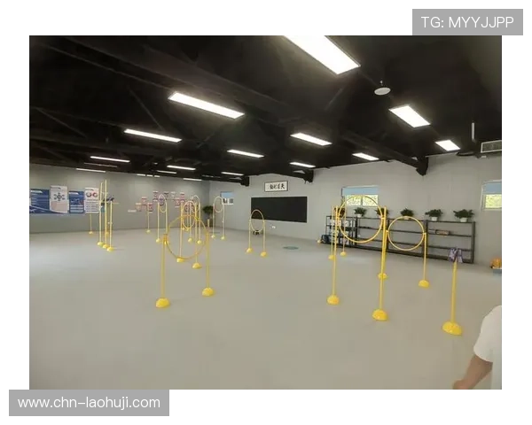 ob试玩平台官网操作指南，详细步骤教你轻松注册登录享受试玩乐趣