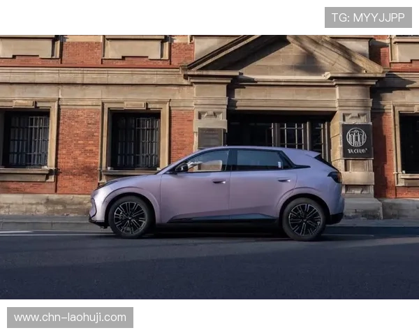 hobo电子狗提升驾驶安全的最佳选择，保障每一次出行的安心体验