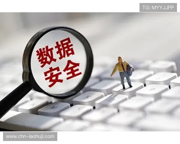 乐鱼电子网址安全登录指南确保账号信息安全与个人隐私保护措施